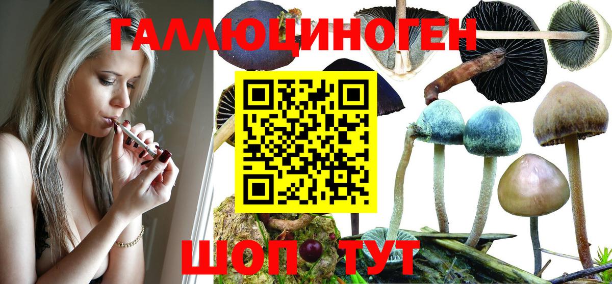 Псилоцибиновые грибы мухоморы  даркнет сайт  Новоуральск  Вход с VPN 